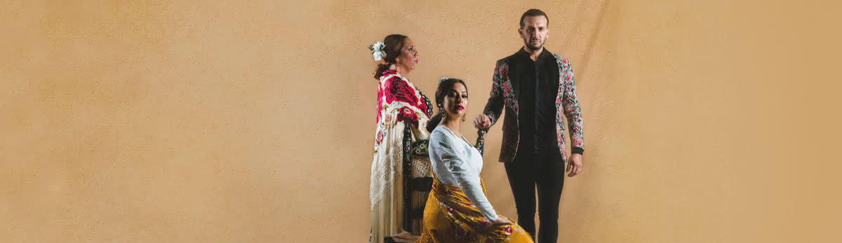 Flamenco Show in the heart of Granada