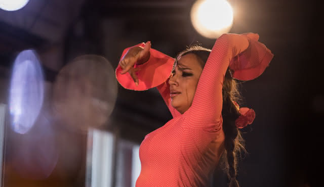 Spectacle de flamenco avec dîner à Jardines de Zoraya