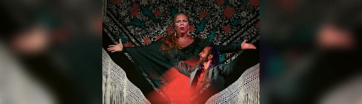 Flamenco Show at Tablao Flamenco Alegria, 2024-05-01, Гамбург