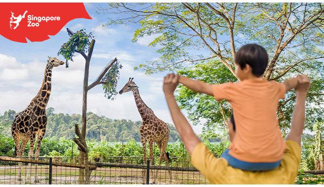 Zoo de Singapour