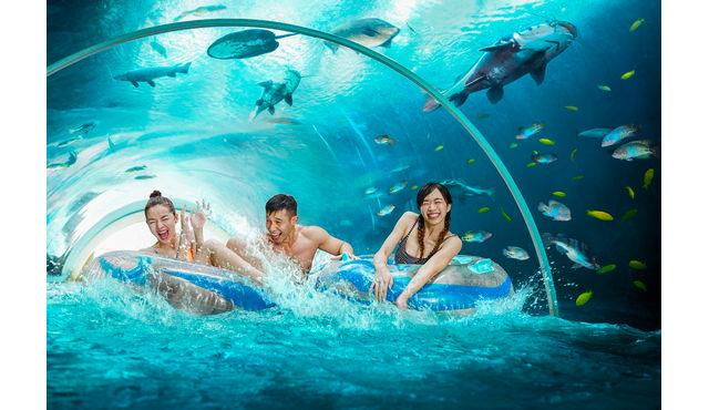 Adventure Cove Waterpark™ in Singapore