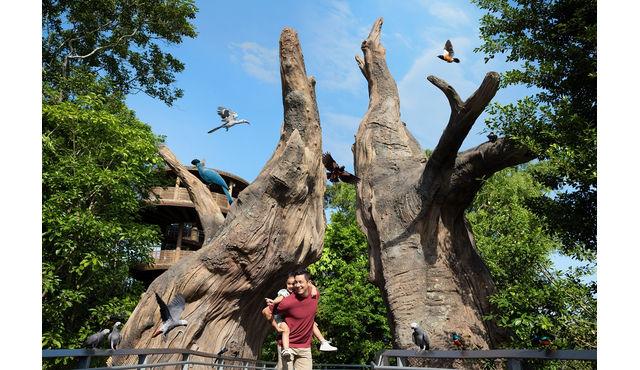 Bird Paradise Singapore