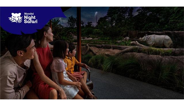 Night Safari 新加坡