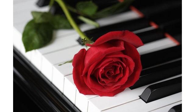 Chopin & Champagne met Kerstmis in de kathedraal van Manchester