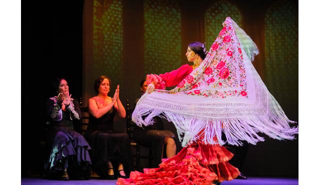 Sensaciones: Teatro Flamenco Granada