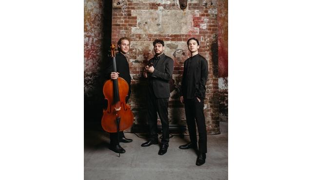 Sonntagsmatinée:  Trio Concept