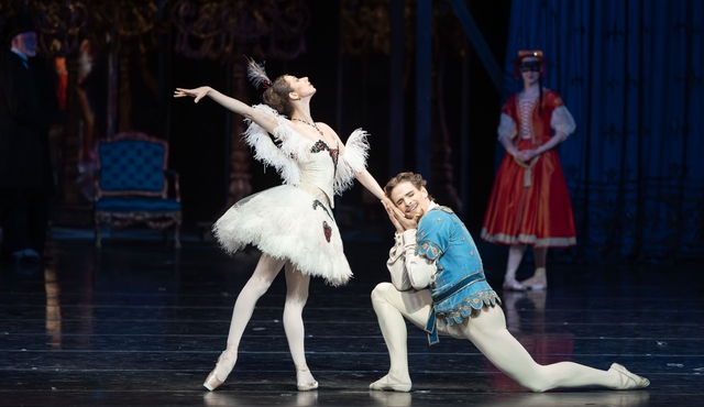 Illusionen – wie Schwanensee