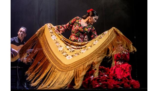 感情：マドリードの中心で燃え上がる純粋なフラメンコ