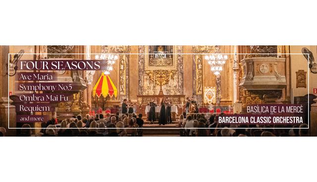 Concerto di Natale: Ave Maria, Silent Night, O Holy Night e altro ancora