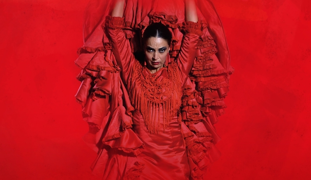 Emotions: Pure Flamenco in the Heart of Madrid
