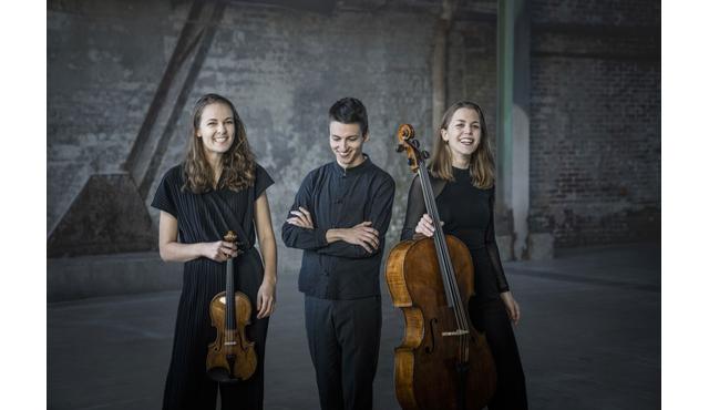 Sonntagsmatinee: Amelio Trio