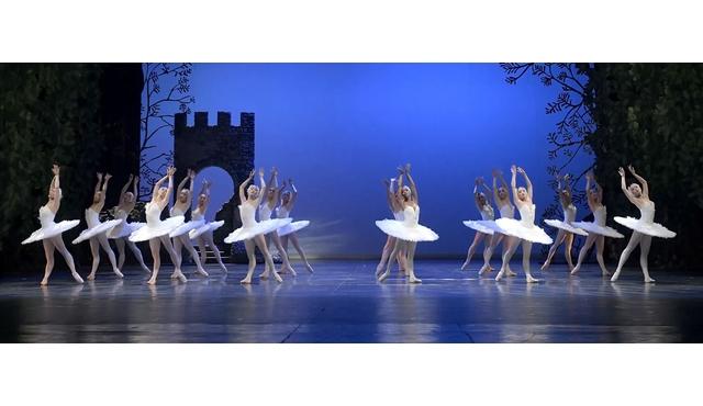 Palau de les Arts Reina Sofia: Swan Lake