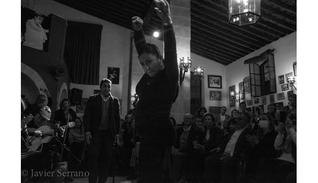 Palau de les Arts Reina Sofía: Zambomba Flamenca