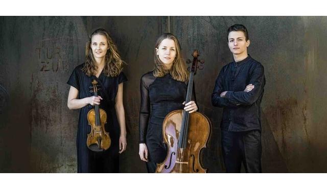 Yükselen Yıldızlar: Amelio Trio