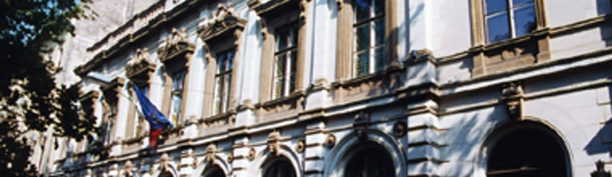 Italian Institute of Culture